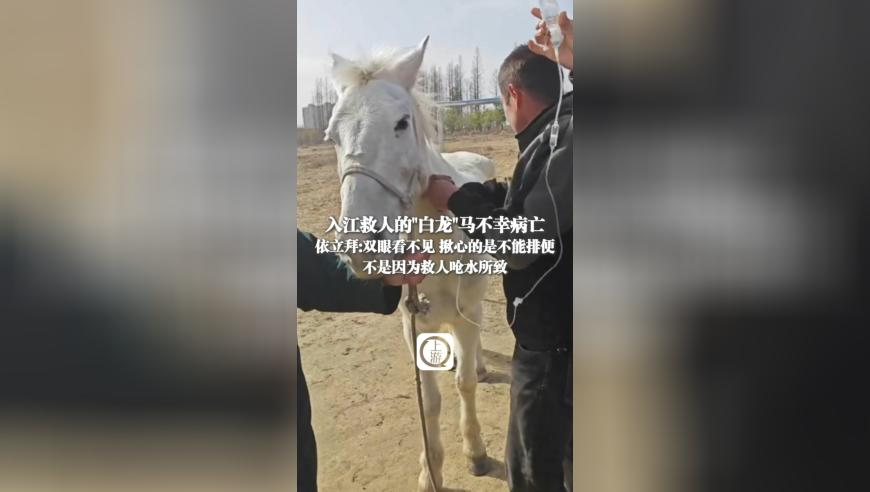武大靖：亚冬会在东北举办很自豪,澳门特马最准资料,典故解疑_工具版V1.26
