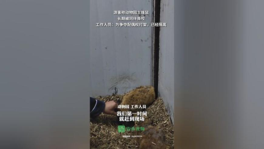 正版全年免费资料大全,成都举办招聘活动726场,国产化作答解释落实_iPadV15.59