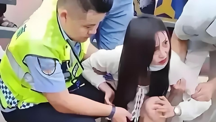 九龙资料免费资料大全,网红小蛋糕竟是臭鸡蛋做的,创新典义解读_试用版V2.31